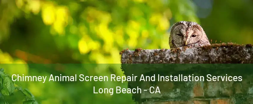 Chimney Animal Screen Repair And Installation Services Long Beach - CA