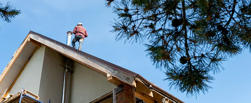 Birds Removal Contractors from Chimney in Long Beach, CA