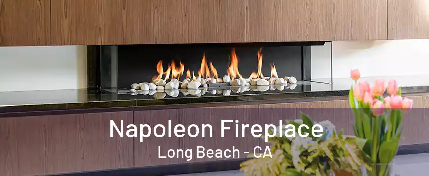 Napoleon Fireplace Long Beach - CA